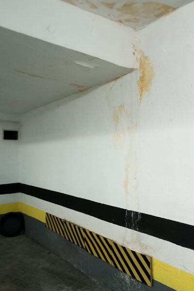 reparación humedades